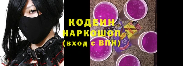 метадон Алексин