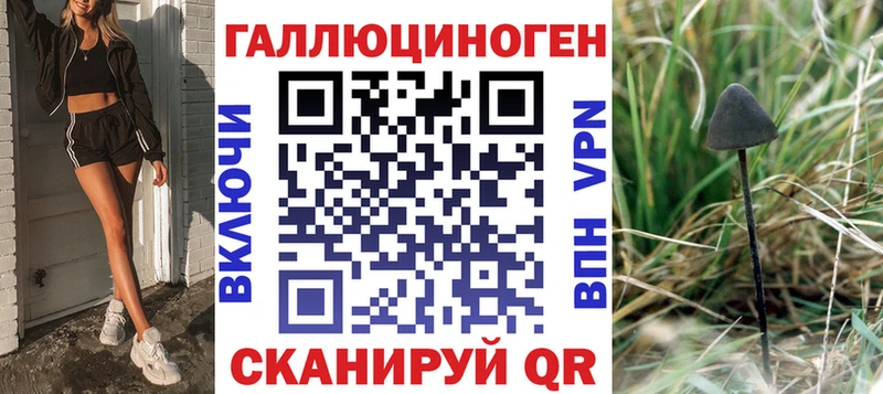 Галлюциногенные грибы Psilocybine cubensis  Приозерск 